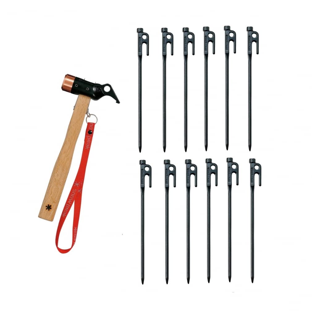 全国どこでも送料無料 スノーピーク ソリッドステーク30 20本 pro.c